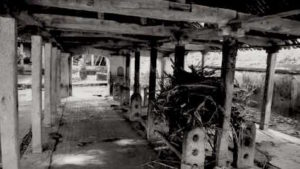 Backyard of a Traditional Indian Home. Image Courtesy: Google Image Search 