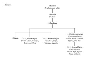 Sankhya- Process of Creation